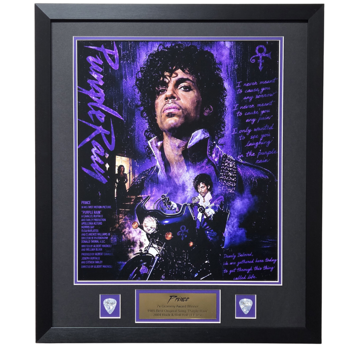 Prince Professionally Framed 16x20 Display